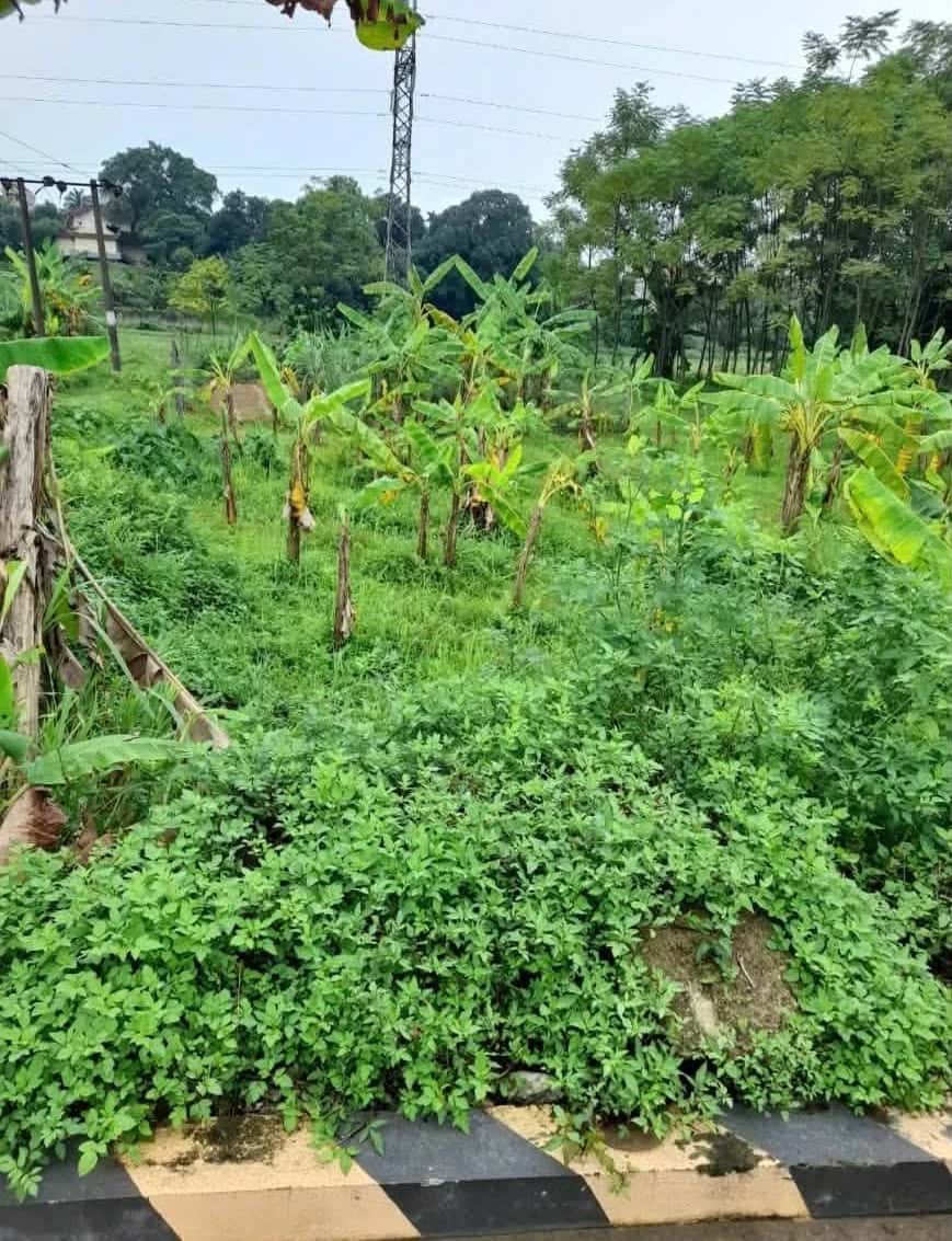 Bán đất Khu 5 Thành phố Việt Trì, Phú Thọ – giá 1.4 tỷ