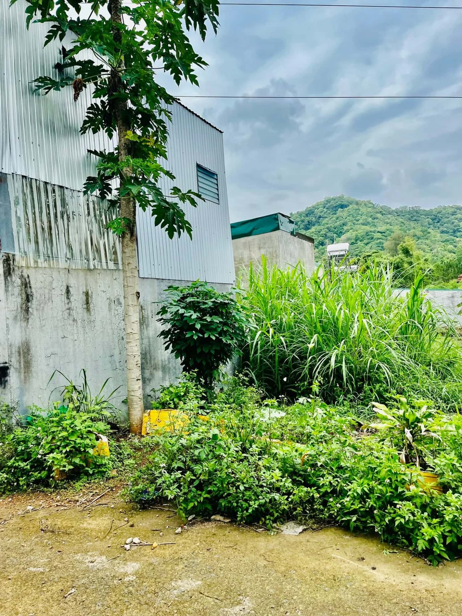 Bán đất Tạ Quang Bửu Thành phố Buôn Ma Thuột, Đắk Lắk – giá 830 triệu