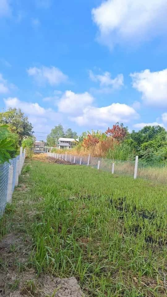 Bán đất Ấp Nhơn Lộc 1A Huyện Phong Điền, TP. Cần Thơ – giá 1.4 tỷ