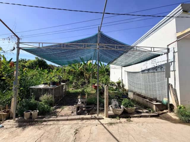 Bán đất Thôn Phú Ân Nam 3 Huyện Diên Khánh, Khánh Hòa – giá 930 triệu