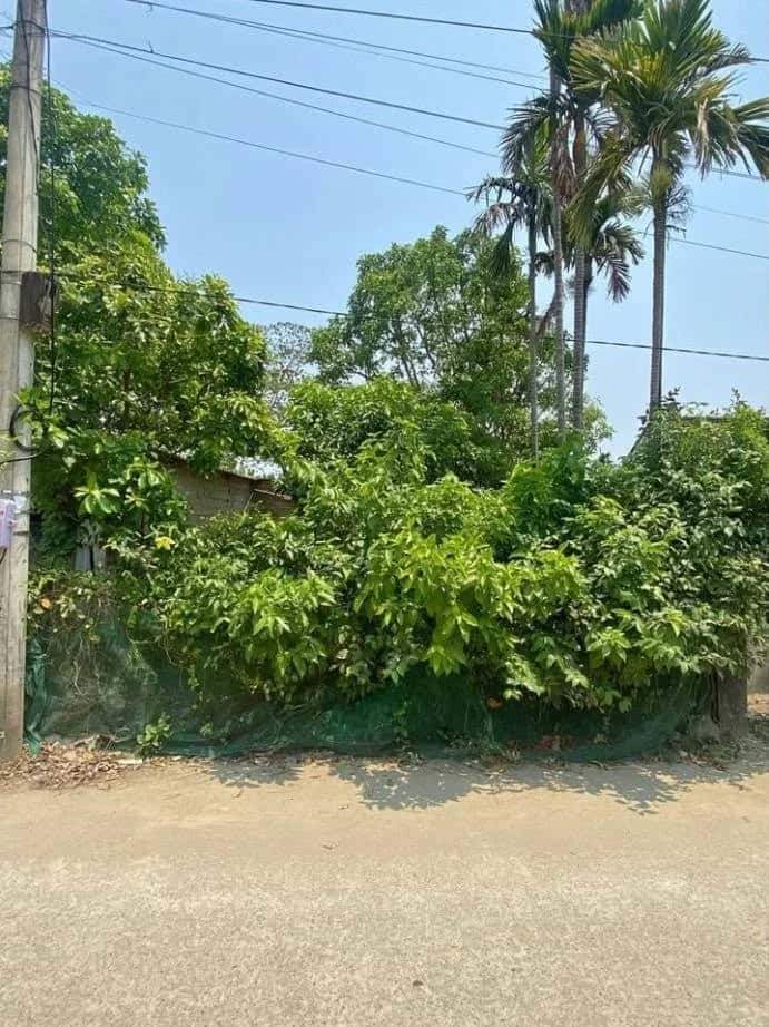 Bán đất Xóm 8, Thôn Dưỡng Mong Huyện Phú Vang, TP. Huế – giá 1.8 tỷ