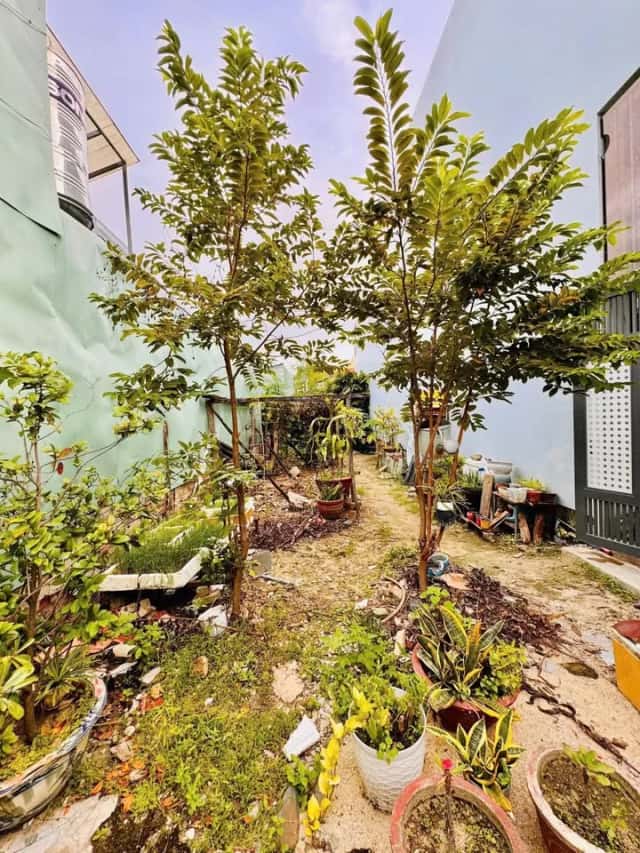 Bán đất Phú Xương Thành phố Nha Trang, Khánh Hòa – giá 3.2 tỷ