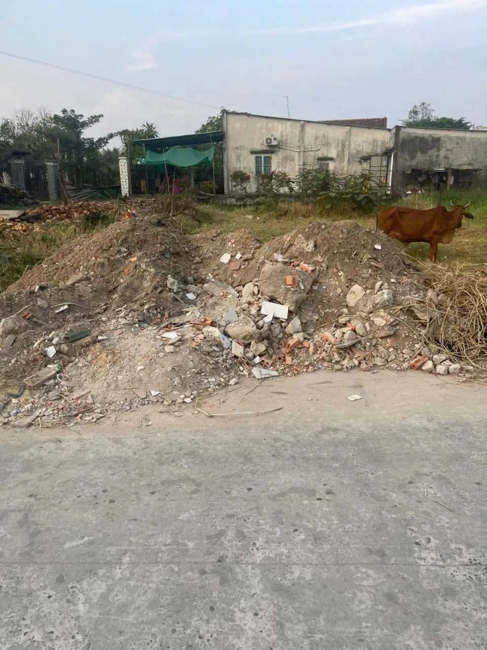 Bán đất Ấp Rừng Dầu Huyện Đức Hòa, Long An – giá 1.3 tỷ