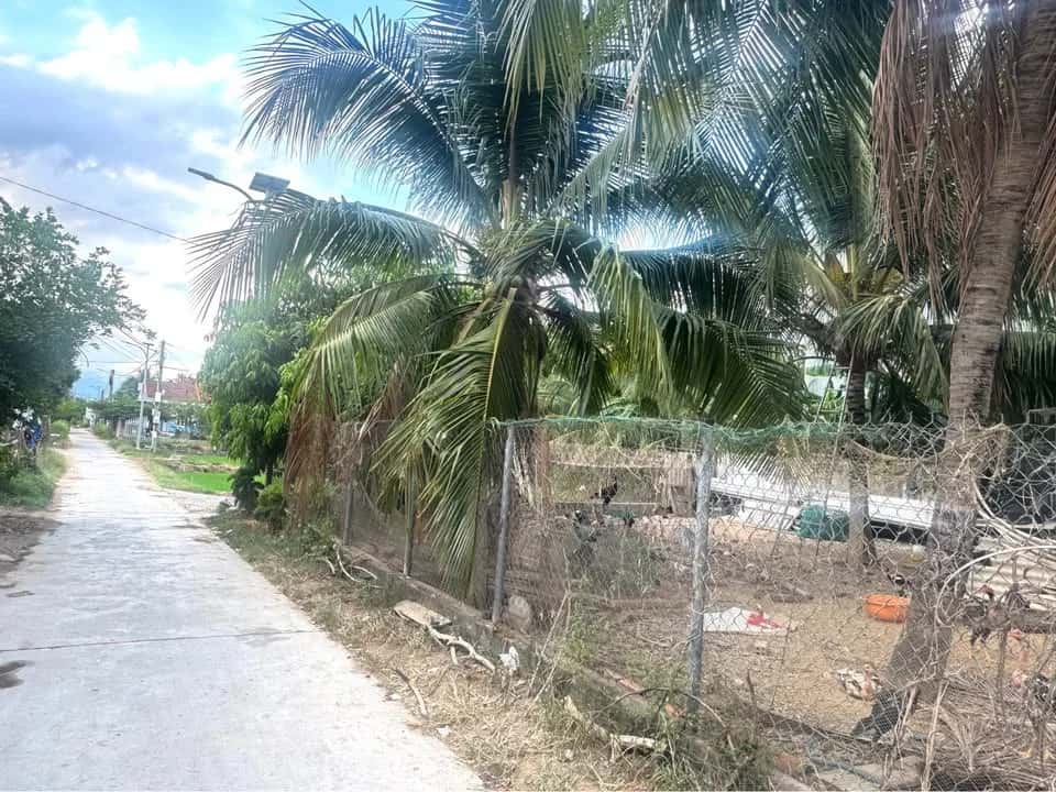 Bán đất thôn Nghi Phụng Thị xã Ninh Hòa, Khánh Hòa – giá 1.1 tỷ