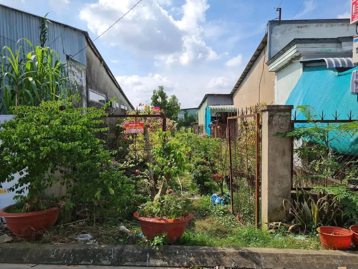 Bán đất Tô Vĩnh Diện Quận Bình Thuỷ, TP. Cần Thơ – giá 5 tỷ