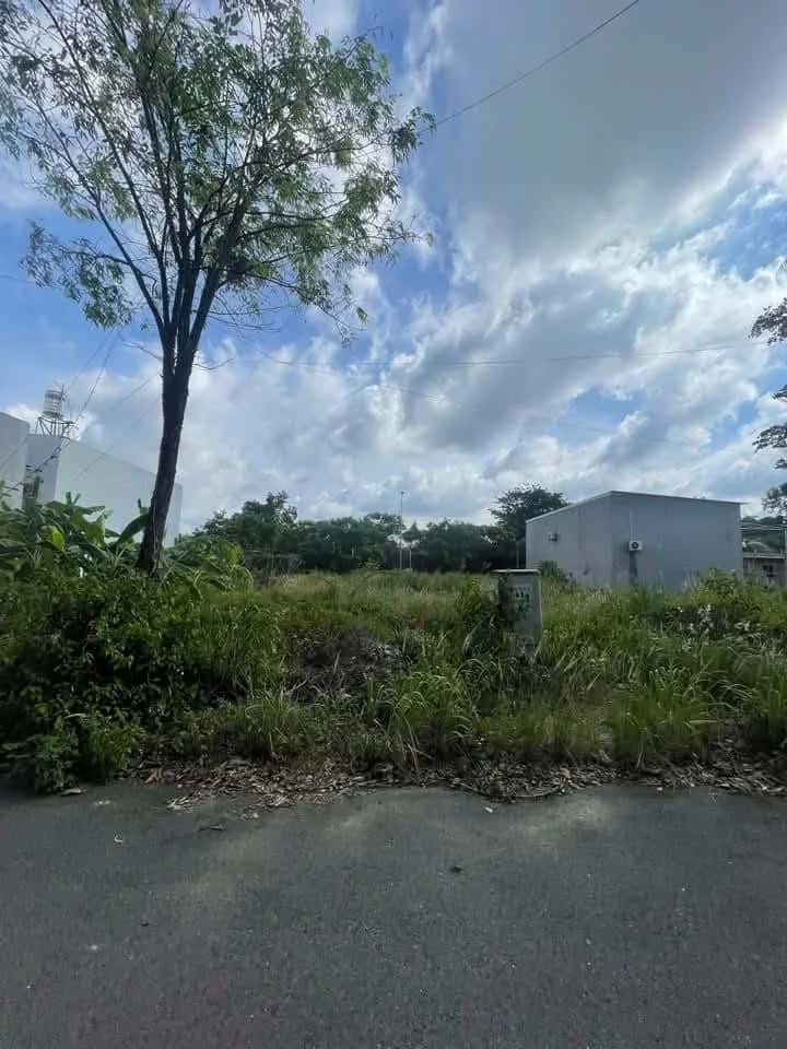 Bán đất đường N2, Khu nhà ở Sài Gòn Land  Thành phố Tân Uyên, Bình Dương – giá 1.3 tỷ