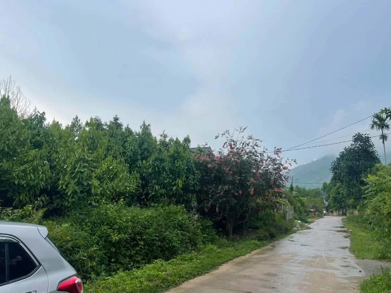 Bán đất Khu Đồng Khanh Huyện Yên Lập, Phú Thọ – giá 450 triệu