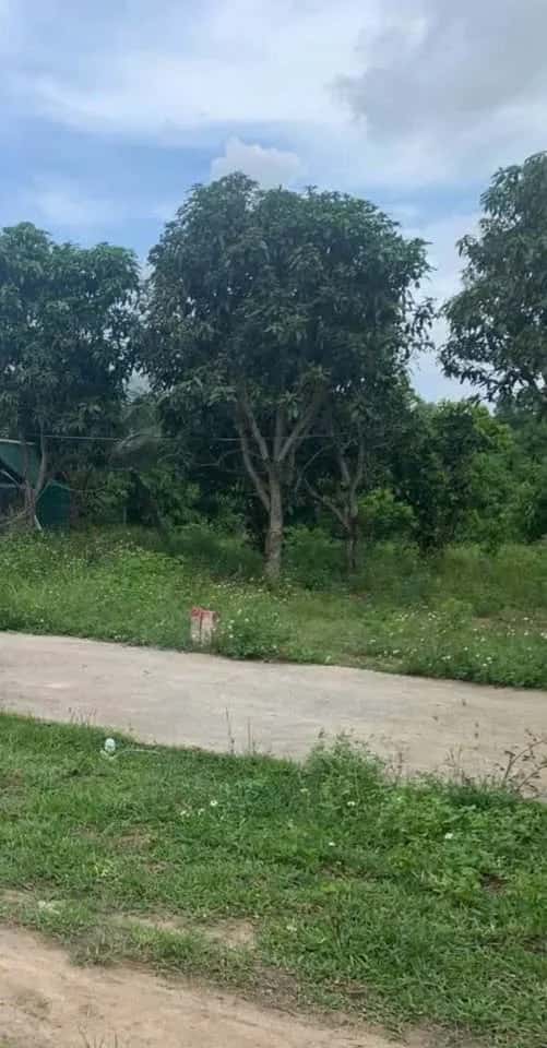 Bán đất thôn Xuân Phú  Huyện Diên Khánh, Khánh Hòa – giá 380 triệu