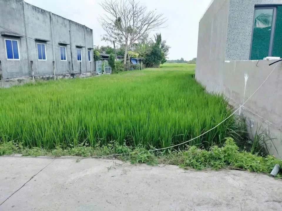 Bán đất Hẻm Tỉnh Lộ 833 Thành phố Tân An, Long An – giá 1.3 tỷ