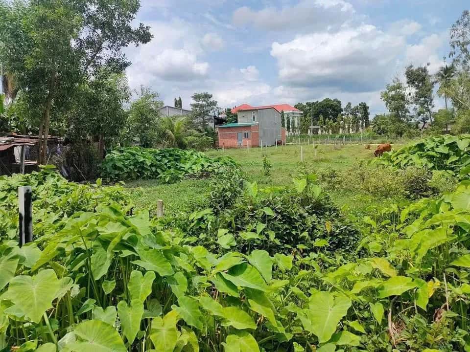 Bán đất Hoàng Lê Kha, Ấp Xóm Mới 1 Huyện Châu Thành, Tây Ninh – giá 700 triệu