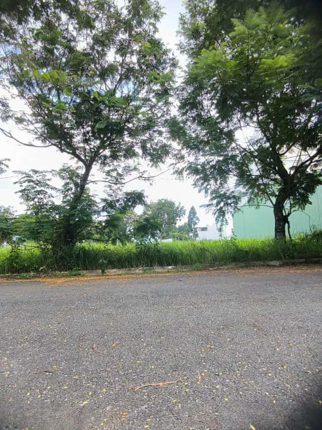 Bán đất đường số 4, Khu Dân cư Green City Thành phố Tân An, Long An – giá 4 tỷ