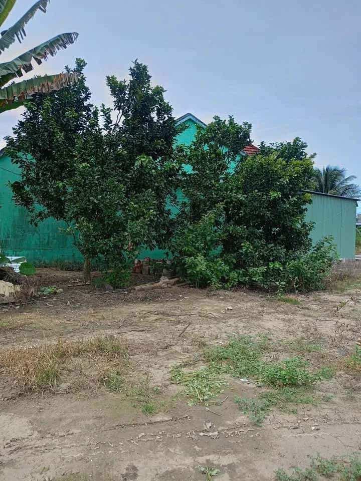 Bán đất Thôn Cẩm Sơn Huyện Diên Khánh, Khánh Hòa – giá 6 tỷ