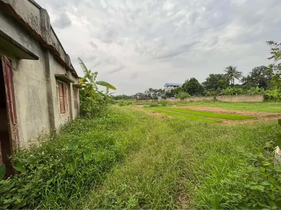 Bán đất Tổ dân phố Tân Thành Thành phố Thái Nguyên, Thái Nguyên – giá 2.6 tỷ