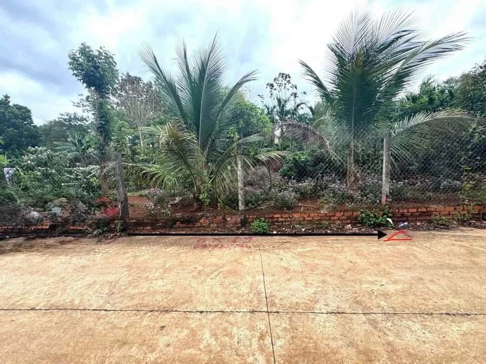 Bán đất Hẻm 76, Tỉnh lộ 8 Huyện Cư M'gar, Đắk Lắk – giá 1.3 tỷ