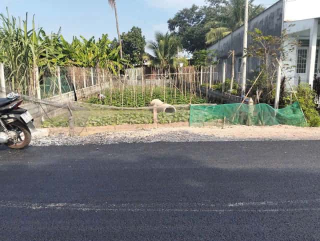 Bán đất Tỉnh Lộ 8 Huyện Củ Chi, TP.HCM – giá 3.2 tỷ