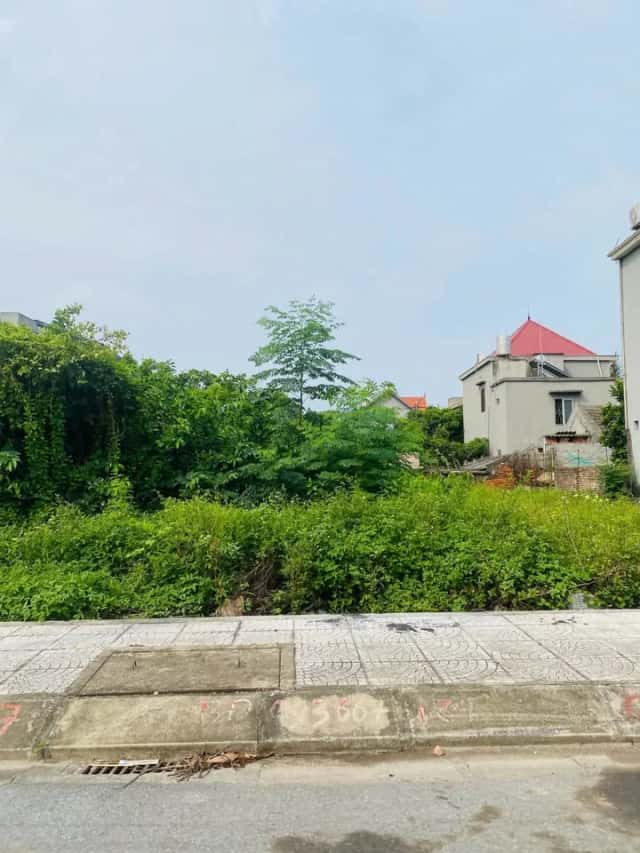 Bán đất Ngõ 81, TDP Tân Hợp Quận Dương Kinh, TP. Hải Phòng – giá 1.9 tỷ