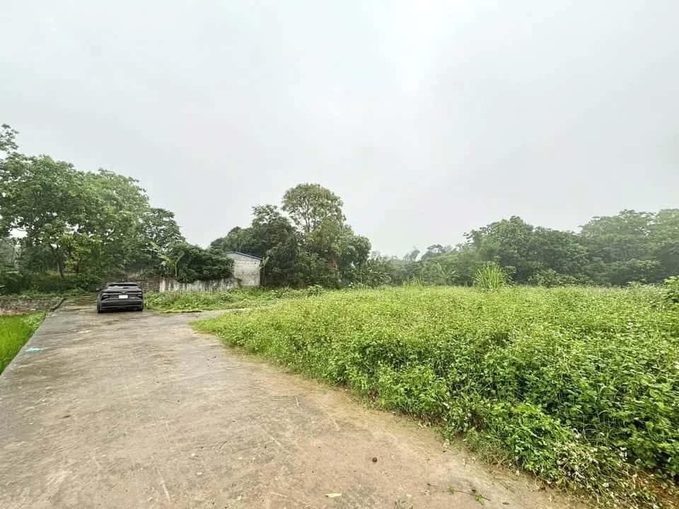 Bán đất Tổ dân phố 15 Thành phố Thái Nguyên, Thái Nguyên – giá 565 triệu