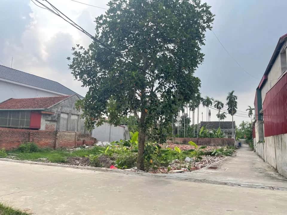 Bán đất ĐT 315, Khu 20 Huyện Tam Nông, Phú Thọ – giá 600 triệu