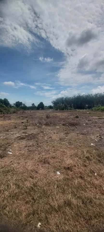 Bán đất ấp Bến Cừ Huyện Châu Thành, Tây Ninh – giá 250 triệu