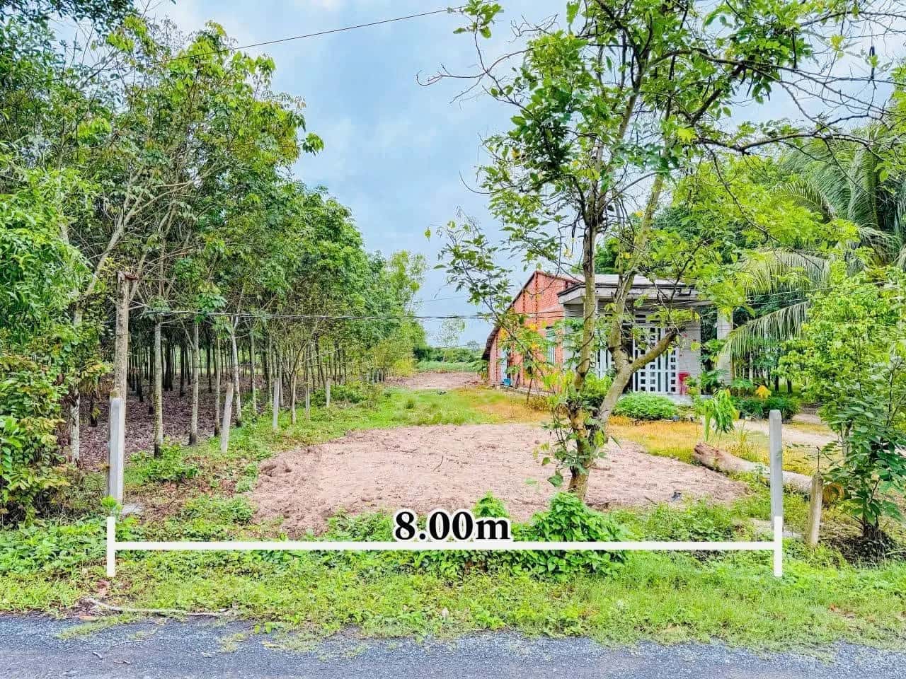 Bán đất hẻm đường Tỉnh Lộ 786 Huyện Bến Cầu, Tây Ninh – giá 520 triệu