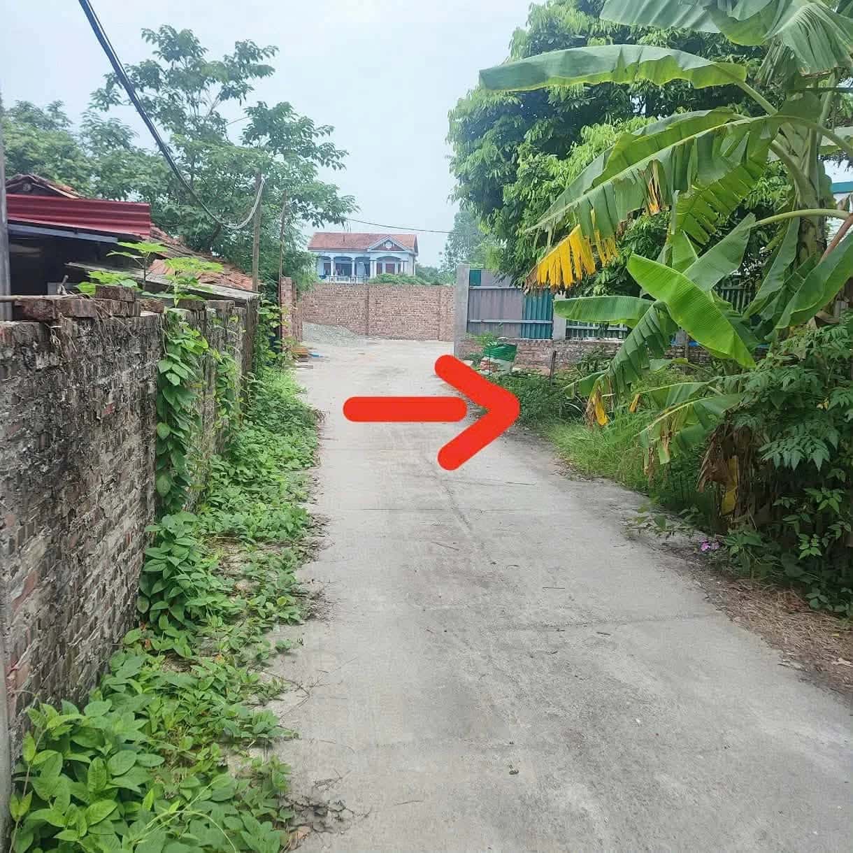 Bán đất Thôn Phú Ninh Huyện Tam Dương, Vĩnh Phúc – giá 1.6 tỷ