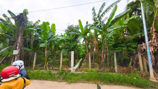 Bán đất Bà Đội Huyện Diên Khánh, Khánh Hòa – giá 1.5 tỷ
