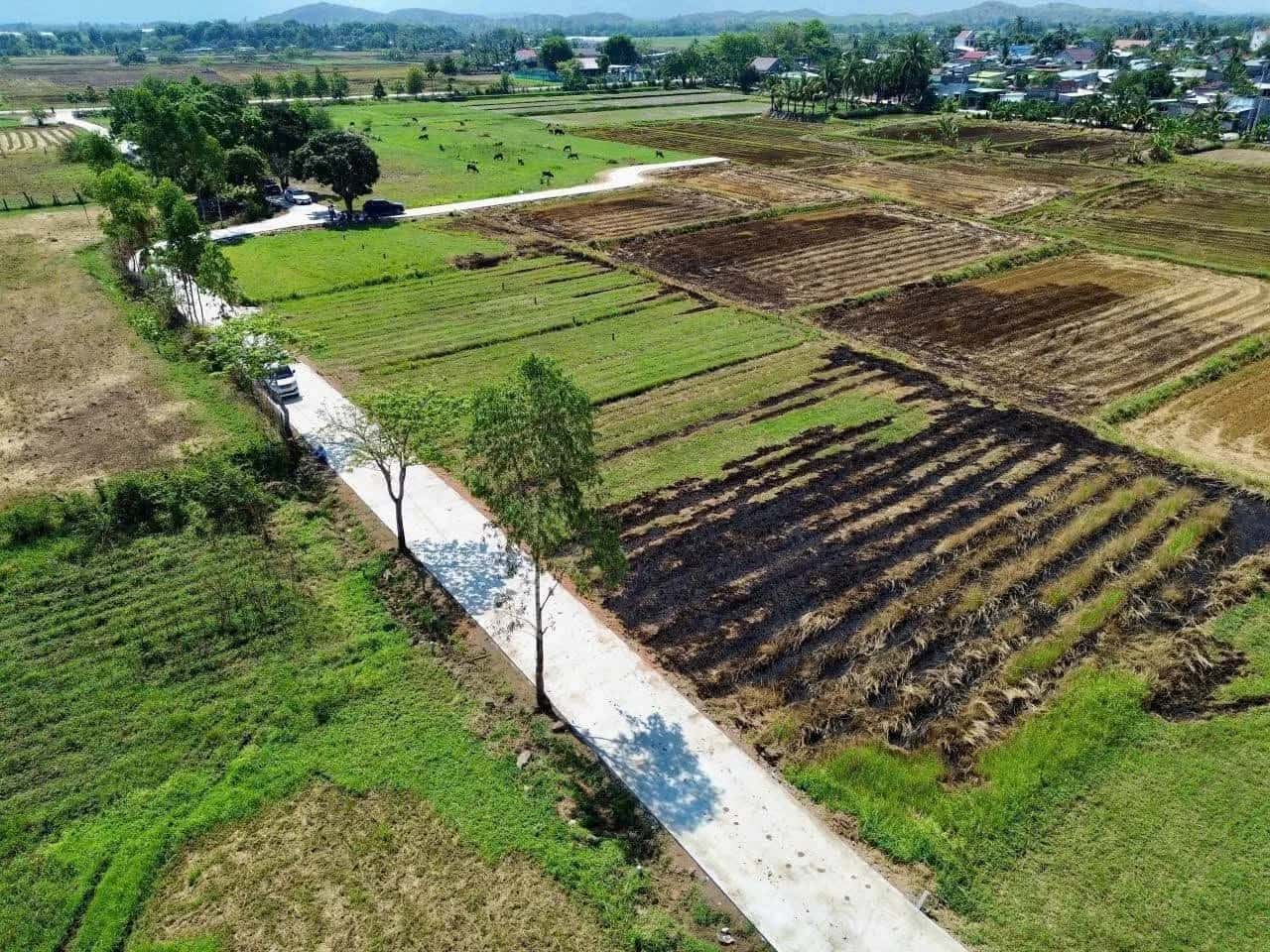 Bán đất đường ĐT 656, Thôn Tân Lập 2 Huyện Ninh Sơn, Ninh Thuận – giá 700 triệu