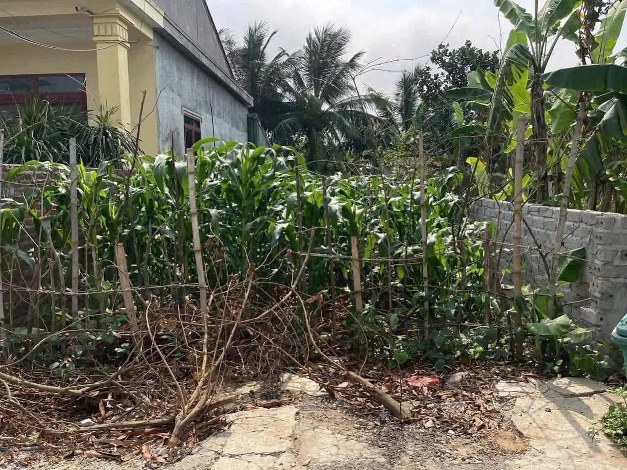 Bán đất Thôn Đông Nham Huyện An Lão, TP. Hải Phòng – giá 1.4 tỷ