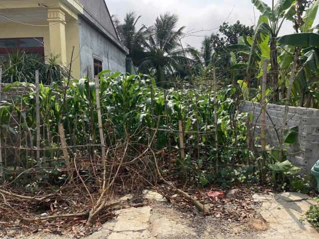 Bán đất Thôn Đông Nham Huyện An Lão, TP. Hải Phòng – giá 1.4 tỷ Bán đất Thôn Đông Nham Huyện An Lão, TP. Hải Phòng – giá 1.4 tỷ