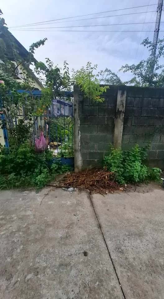 Bán đất đường số 75 Huyện Củ Chi, TP.HCM – giá 3.3 tỷ