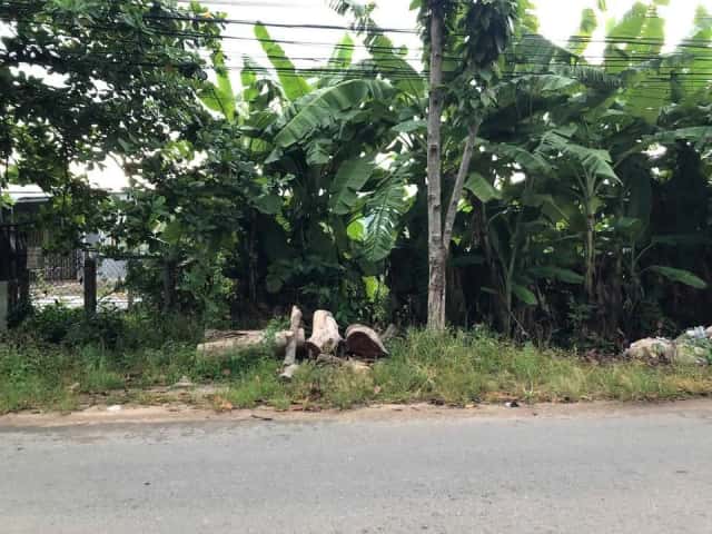 Bán đất Cầu Tàu Thành phố Thuận An, Bình Dương – giá 10.5 tỷ