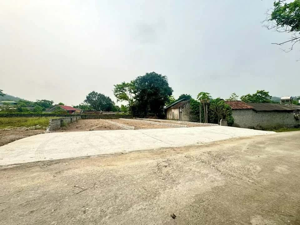 Bán đất Thôn Tân Lập Huyện Tam Đảo, Vĩnh Phúc – giá 586 triệu