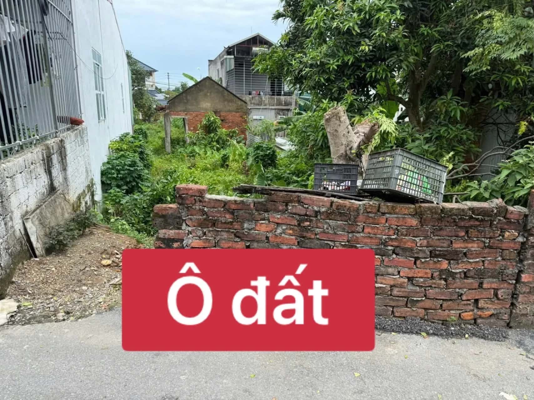 Bán đất Thôn Tam Lộng Huyện Bình Xuyên, Vĩnh Phúc – giá 1.3 tỷ