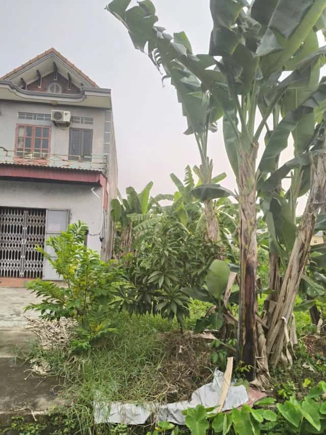 Bán đất Thôn Bắc Thành phố Thuỷ Nguyên, TP. Hải Phòng – giá 3.2 tỷ