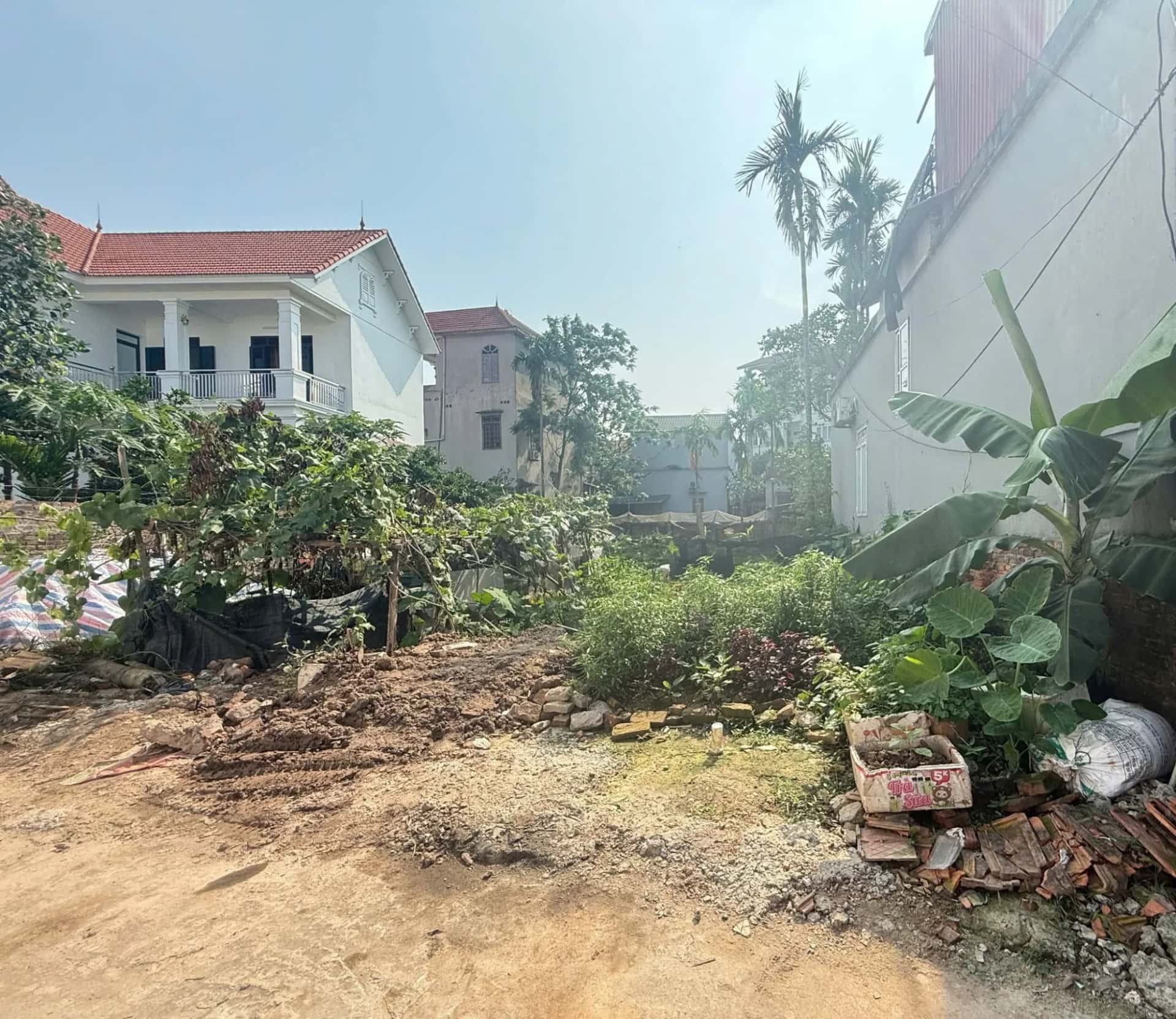 Bán đất Thôn Kim Châu Huyện Thanh Oai, TP. Hà Nội – giá 3.2 tỷ