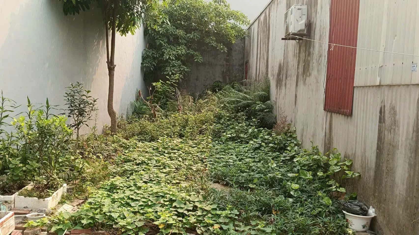 Bán đất Ngõ 381 , Ngô Quyền Thành phố Hải Dương, Hải Dương – giá 2.3 tỷ