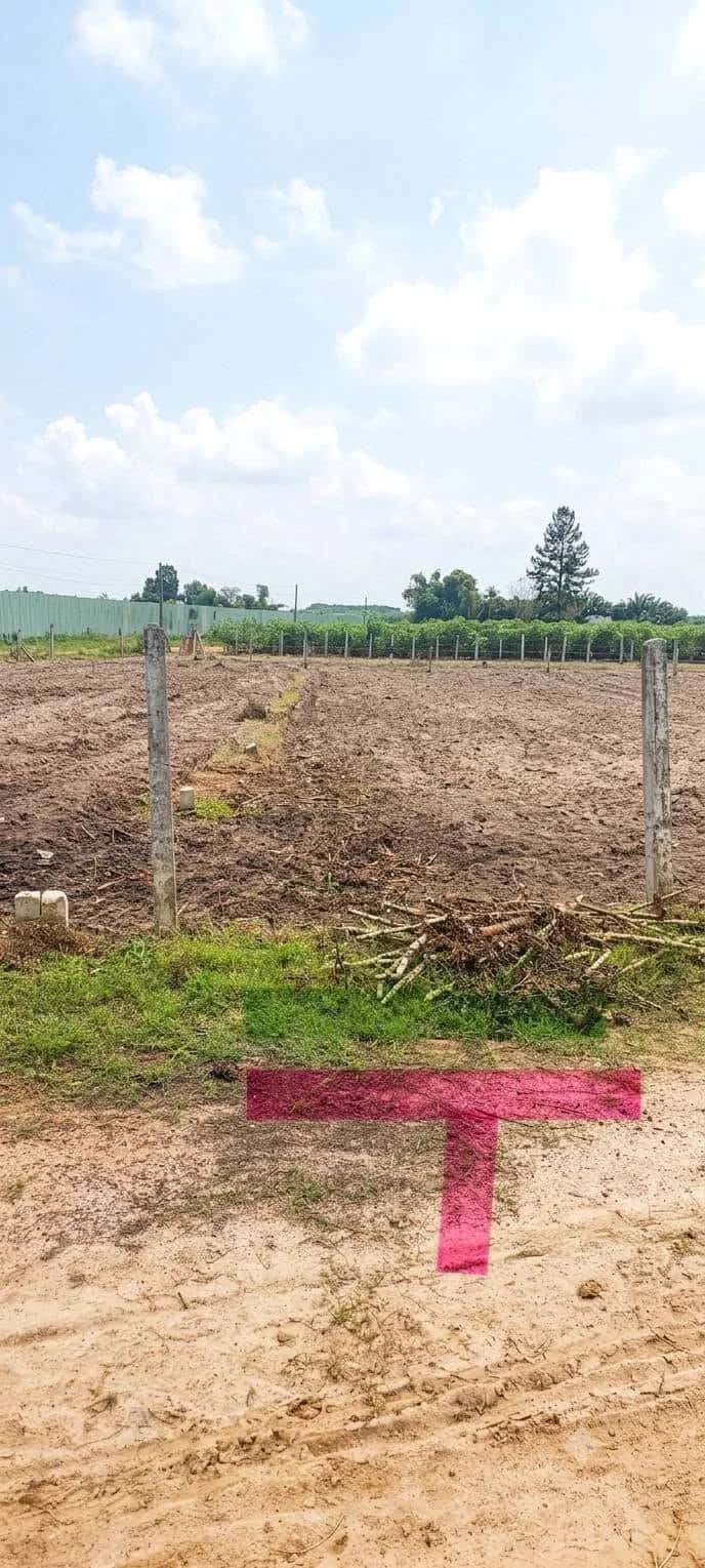 Bán đất Ấp Suối Dộp Huyện Châu Thành, Tây Ninh – giá 350 triệu