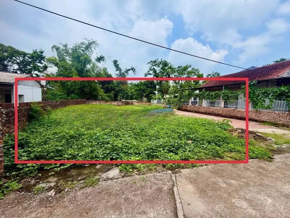 Bán đất Thôn Làng Chanh  Huyện Tam Đảo, Vĩnh Phúc – giá 1.3 tỷ