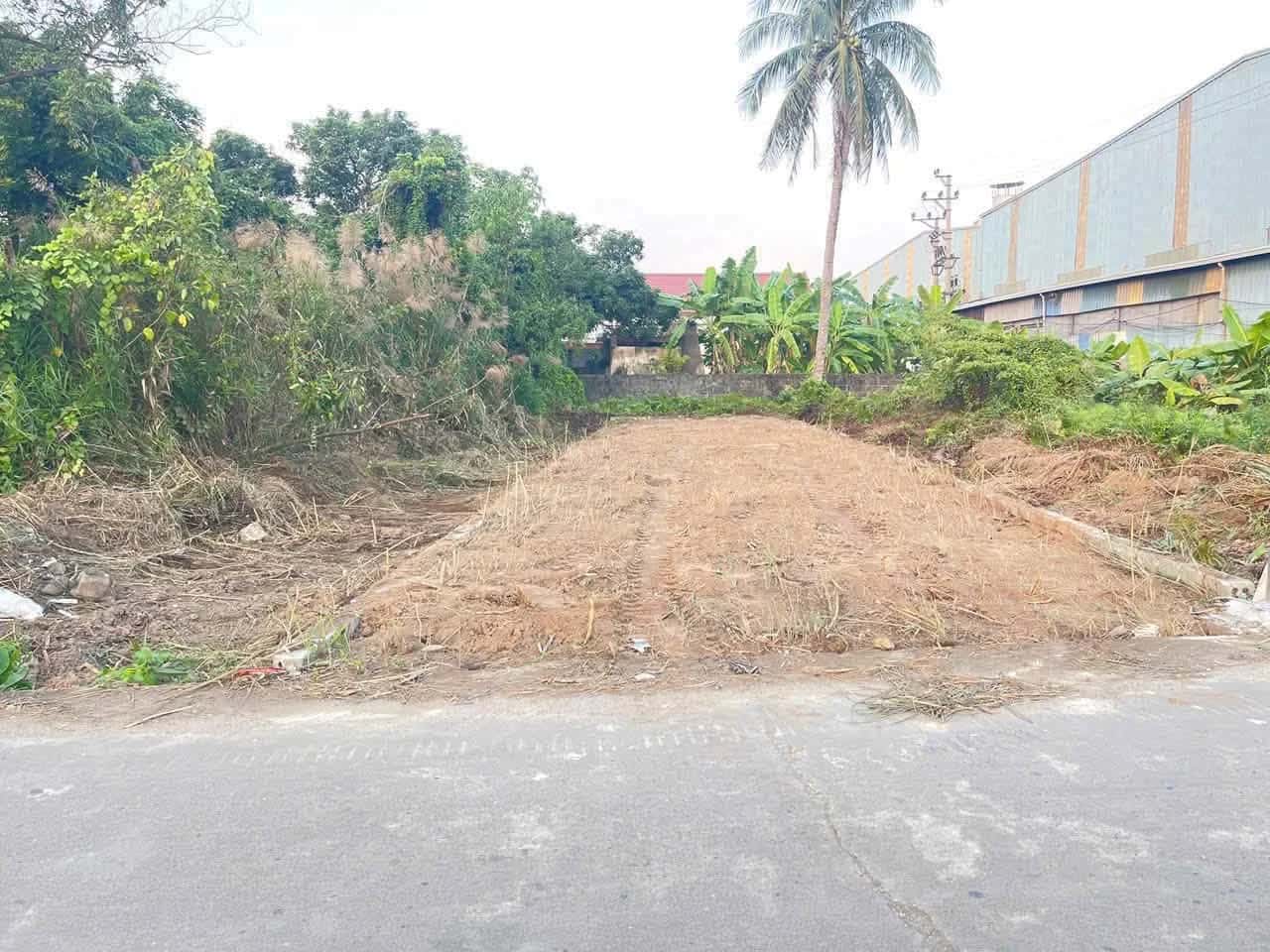 Bán đất Phương Chử Đông Huyện An Lão, TP. Hải Phòng – giá 2.7 tỷ