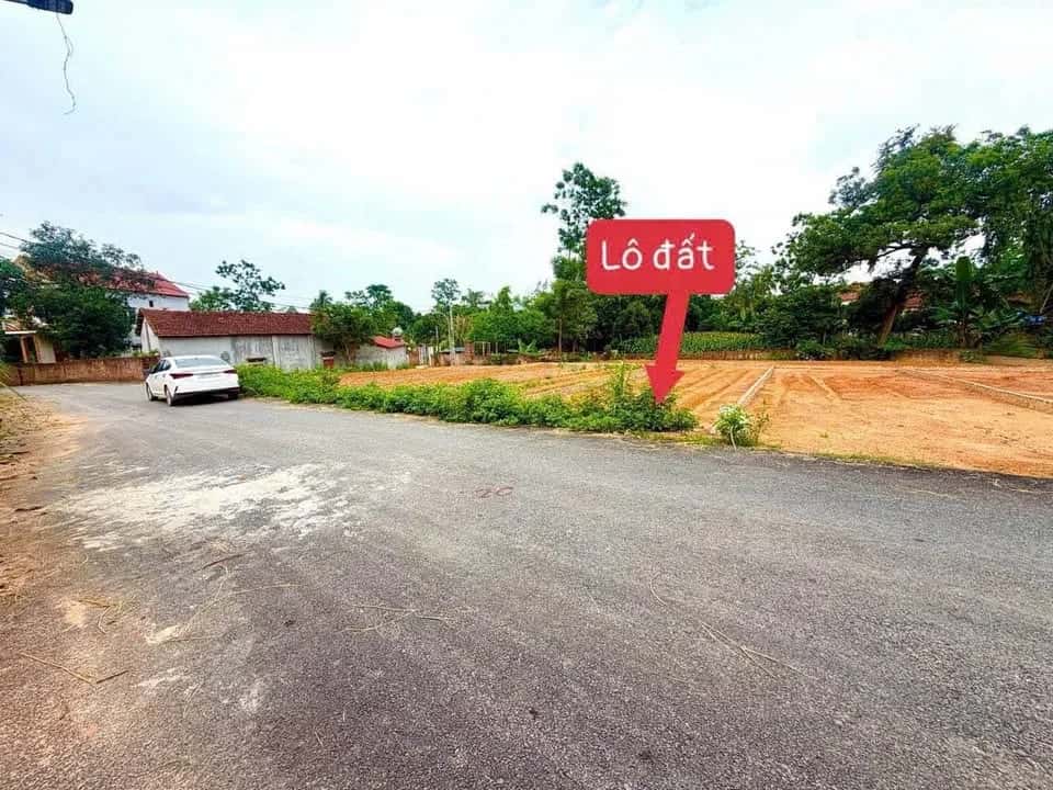 Bán đất Thôn Bồ Thầy  Huyện Lập Thạch, Vĩnh Phúc – giá 750 triệu