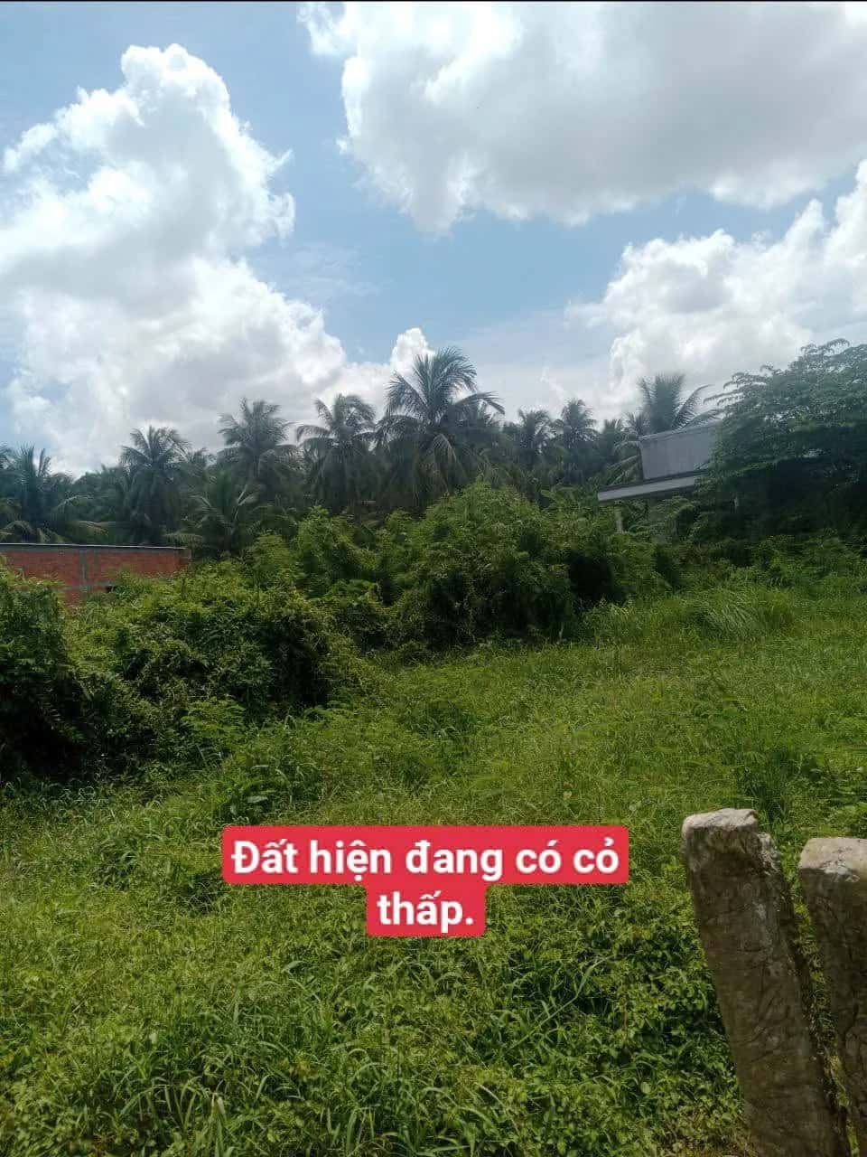 Bán đất Thạnh Khiết Huyện Chợ Gạo, Tiền Giang – giá 225 triệu