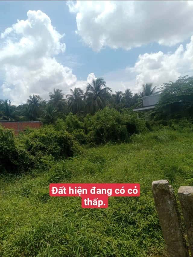 Bán đất Thạnh Khiết Huyện Chợ Gạo, Tiền Giang – giá 225 triệu