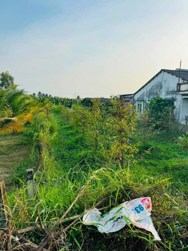 Bán đất Trần Văn Ngà Thành phố Tân An, Long An – giá 2.4 tỷ