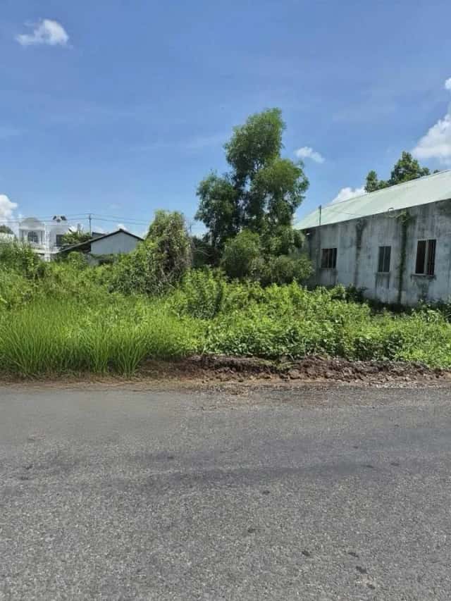 Bán đất Nguyễn Văn Siêu Thành phố Tân An, Long An – giá 1.1 tỷ