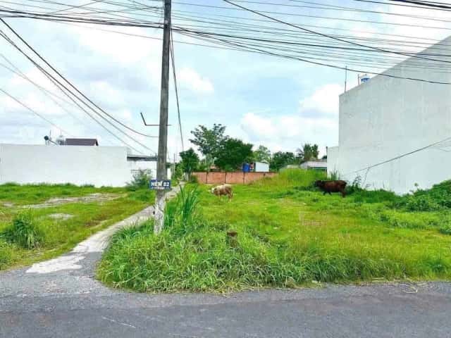 Bán đất  Lê Văn Khuyên Thành phố Tân An, Long An – giá 1.6 tỷ