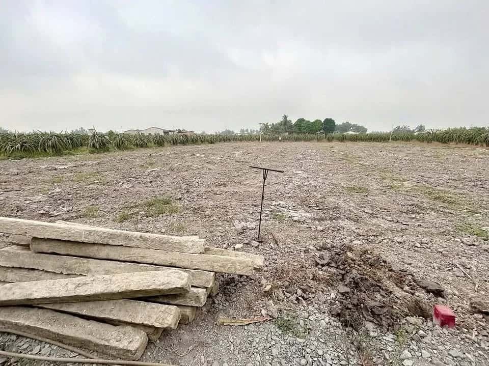 Bán đất Ấp Phú Xuân 2 Huyện Châu Thành, Long An – giá 600 triệu