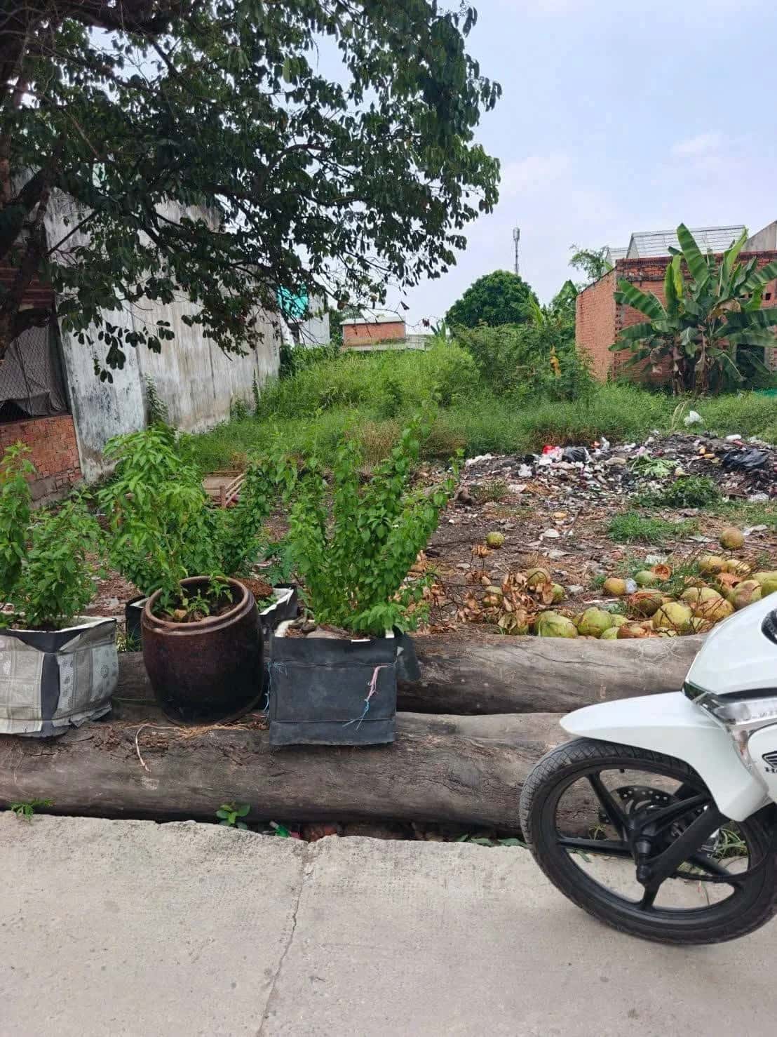 Bán đất Ấp Bình Tiền 1 Huyện Đức Hòa, Long An – giá 1.6 tỷ
