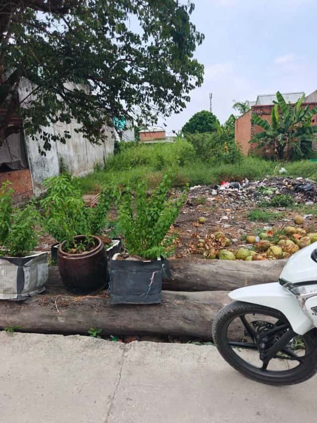 Bán đất Ấp Bình Tiền 1 Huyện Đức Hòa, Long An – giá 1.6 tỷ