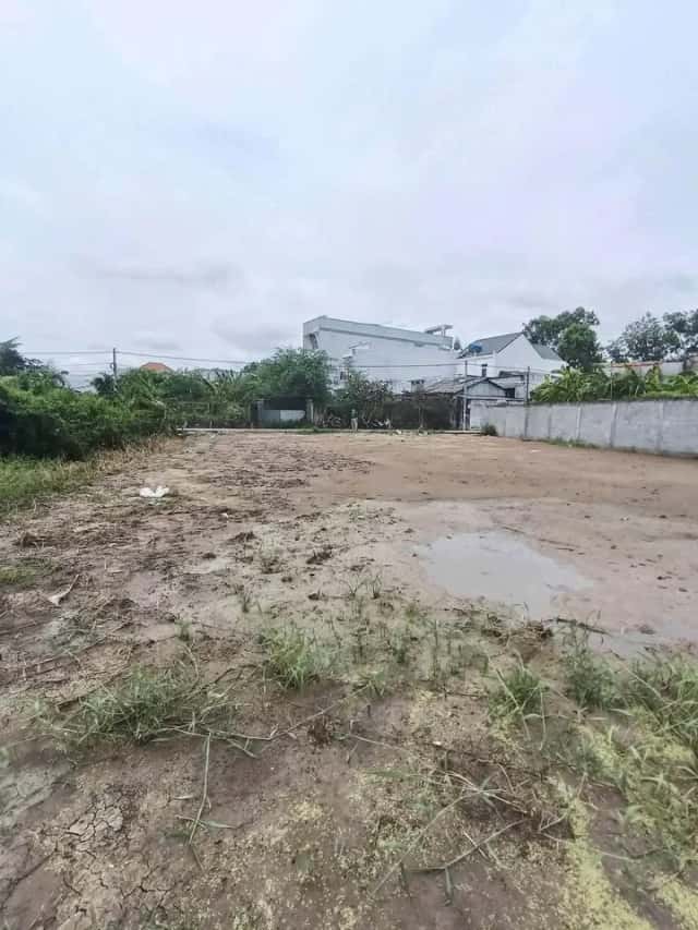 Bán đất hẻm 98 Huỳnh Hữu Thống Thành phố Tân An, Long An – giá 1.6 tỷ