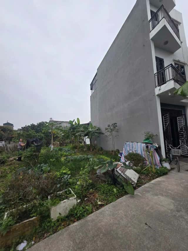 Bán đất Ngõ 194 , Việt Hòa Thành phố Hải Dương, Hải Dương – giá 1.3 tỷ